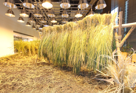 Pasona Urban Farm