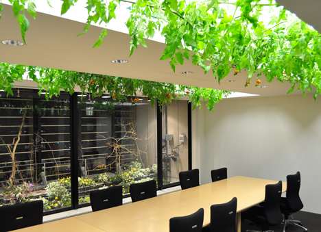 Pasona Urban Farm