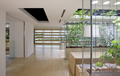 Pasona Urban Farm