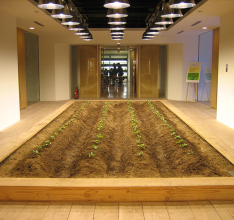 Pasona Urban Farm