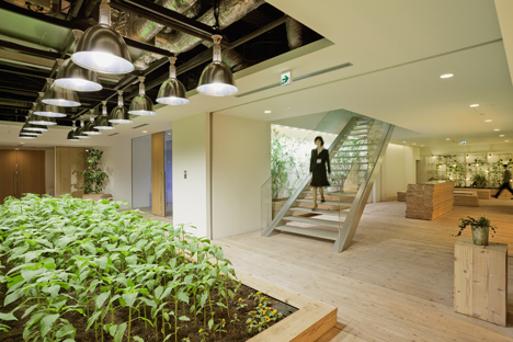 Pasona Urban Farm