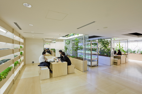 Pasona Urban Farm