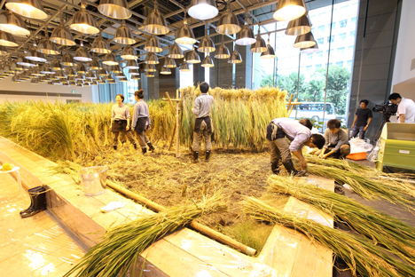 Pasona Urban Farm