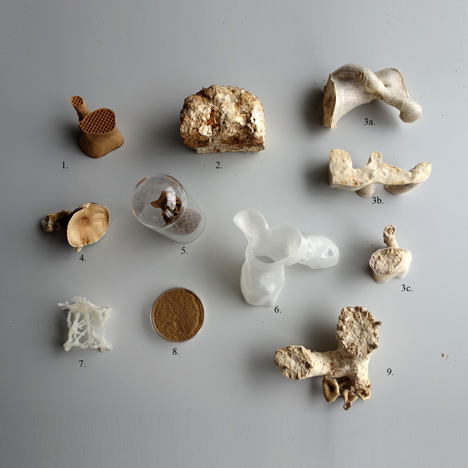 Samples for Mycelium Chair by Eric Klarenbeek Samples for Mycelium Chair by Eric Klarenbeek