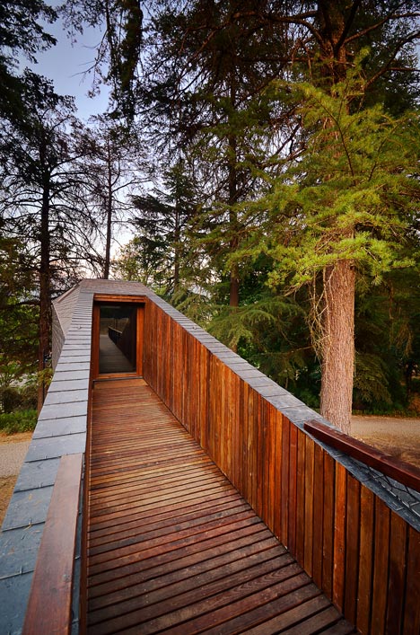 Tree Snake Houses by Luís and Tiago Rebelo de Andrade