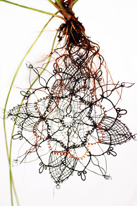 Biolace by Carole Collet