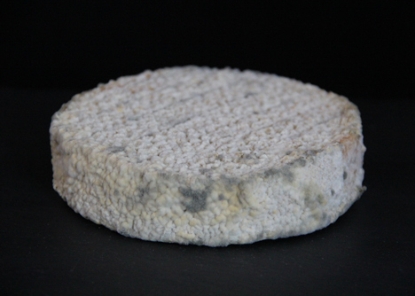 Cheeses made with human bacteria recreate the smell of armpits or feet