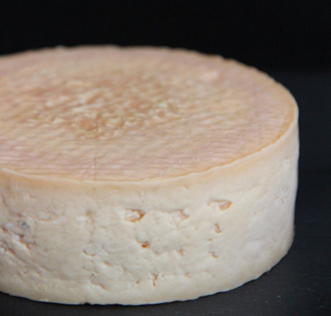 Cheeses made with human bacteria recreate the smell of armpits or feet