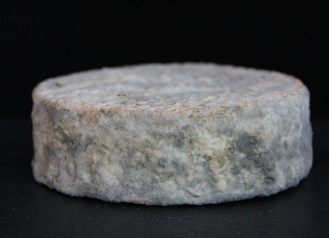 Cheeses made with human bacteria recreate the smell of armpits or feet