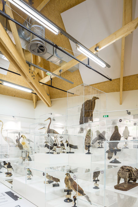 Museum and Biodiversity Research Centre by Guinée*Potin Architectes