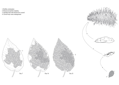 Synthetic creatures could "save nature" says Alexandra Daisy Ginsberg