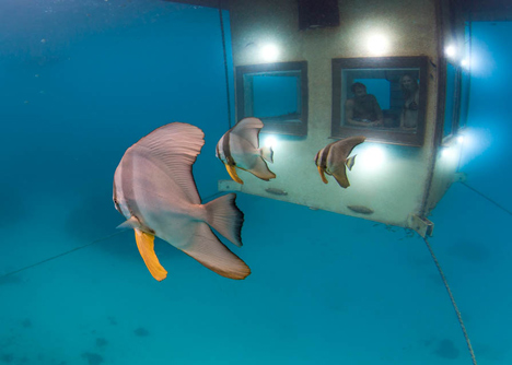 Underwater hotel room opens off the coast of Zanzibar