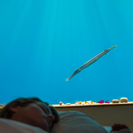 Underwater hotel room opens off the coast of Zanzibar