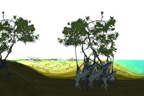Modular CALTROPe structure forms natural dams by cultivating mangroves