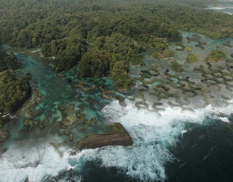 Modular CALTROPe structure forms natural dams by cultivating mangroves