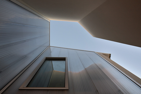 Flower House by Ezzo architects_dezeen_18