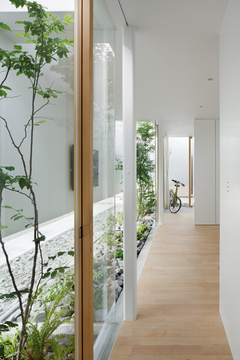 Green Edge House by mA-style Architects encases a perimeter garden behind its walls 