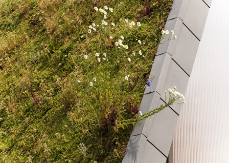 Hump-shaped house blanketed by plants by Patrick Nadeau