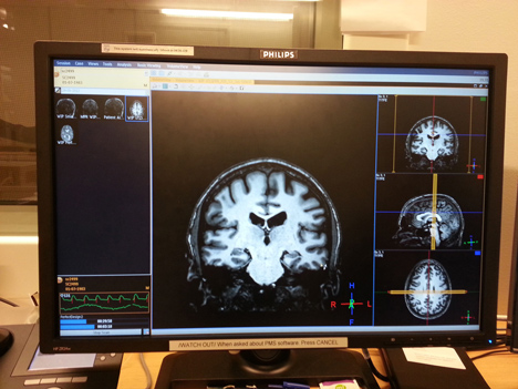 Brain Manufacturing by Merel Bekking