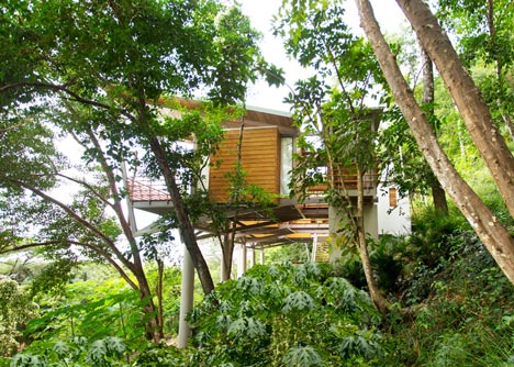 Casa Flotanta by Benjamin Garcia Saxe Architecture is raised above a forest