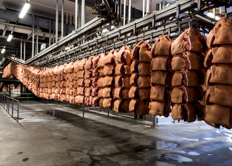 Danish Crown Slaughterhouse photography by Alastair Philip Wiper
