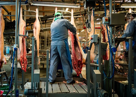 Danish Crown Slaughterhouse photography by Alastair Philip Wiper