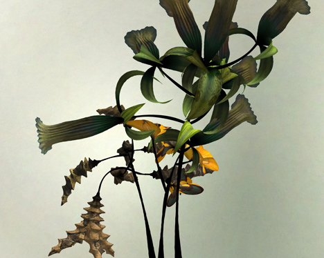 Digital flower animation by Daniel Brown based on exhibits at Dundee museum