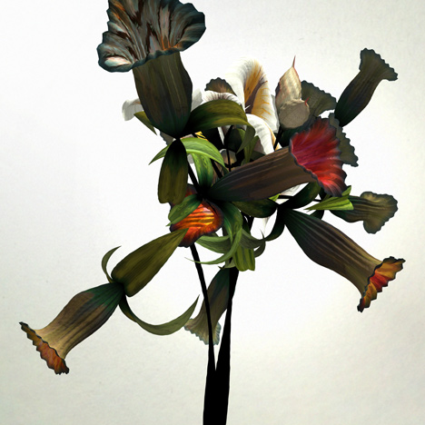 Digital flower animation by Daniel Brown based on exhibits at Dundee museum