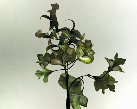 Digital flower animation by Daniel Brown based on exhibits at Dundee museum