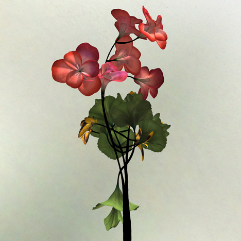 Digital flower animation by Daniel Brown based on exhibits at Dundee museum