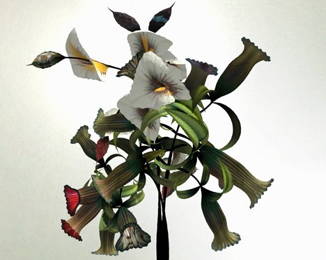 Digital flower animation by Daniel Brown based on exhibits at Dundee museum