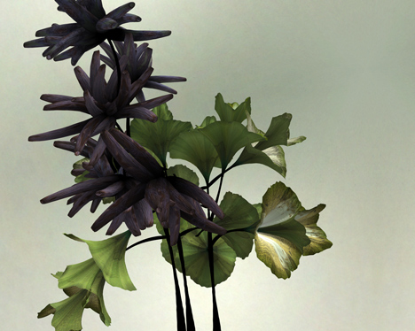 Digital flower animation by Daniel Brown based on exhibits at Dundee museum
