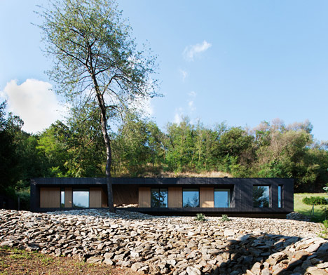 Woodland retreat by Béres Architects nestles up against a jagged rock face