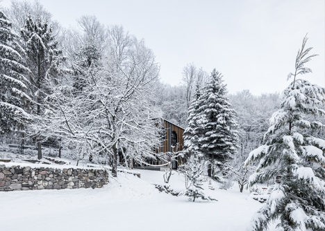 House in the woods in Hungary built in two days by T2.a Architects