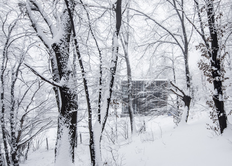 House in the woods in Hungary built in two days by T2.a Architects