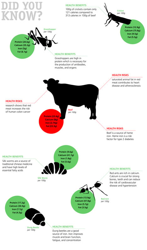 Entomo website design promotes insects as food