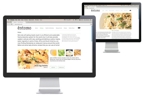 Entomo website design promotes insects as food