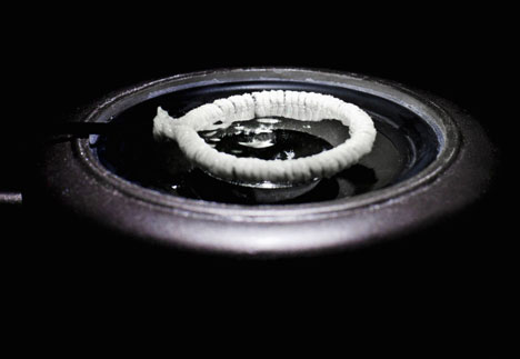 RCA graduate Dagny Rewera uses soap and light to visualise sound
