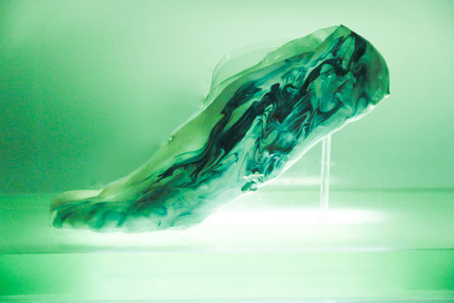 Shamees Aden's Amoeba protocell running shoe
