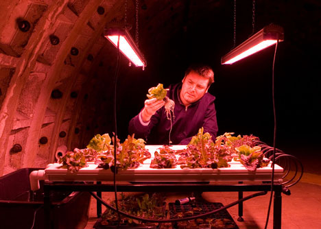 Underground farm built in tunnels 12 storeys beneath London