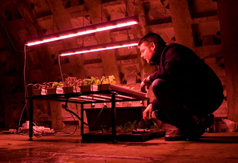 Underground farm built in tunnels 12 storeys beneath London