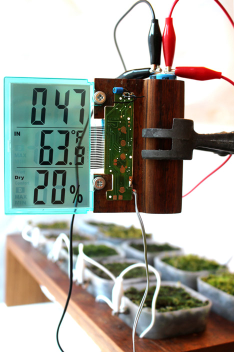 Worlds first moss powered radio