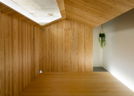 Garden-like office interior by Tsubasa Iwahashi boasts hanging baskets and a wooden shed