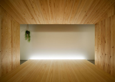 Garden-like office interior by Tsubasa Iwahashi boasts hanging baskets and a wooden shed