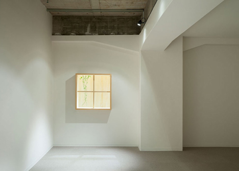 Garden-like office interior by Tsubasa Iwahashi boasts hanging baskets and a wooden shed