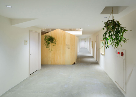Garden-like office interior by Tsubasa Iwahashi boasts hanging baskets and a wooden shed
