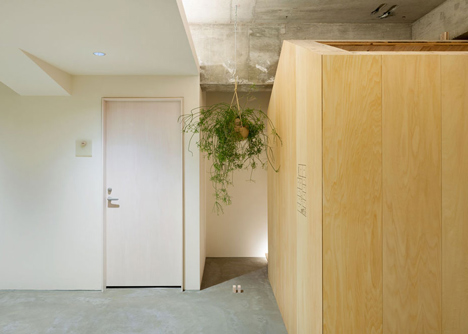 Garden-like office interior by Tsubasa Iwahashi boasts hanging baskets and a wooden shed