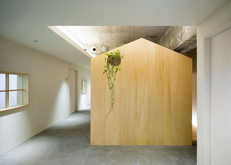 Garden-like office interior by Tsubasa Iwahashi boasts hanging baskets and a wooden shed