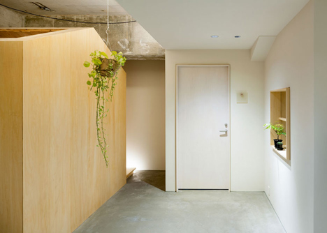 Garden-like office interior by Tsubasa Iwahashi boasts hanging baskets and a wooden shed