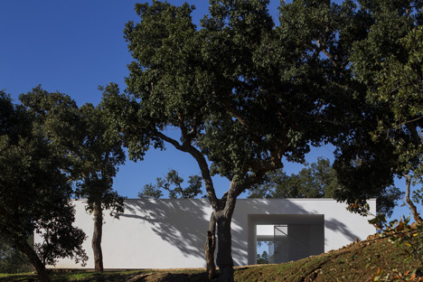 House in Quinta do Carvalheiro by GSMM